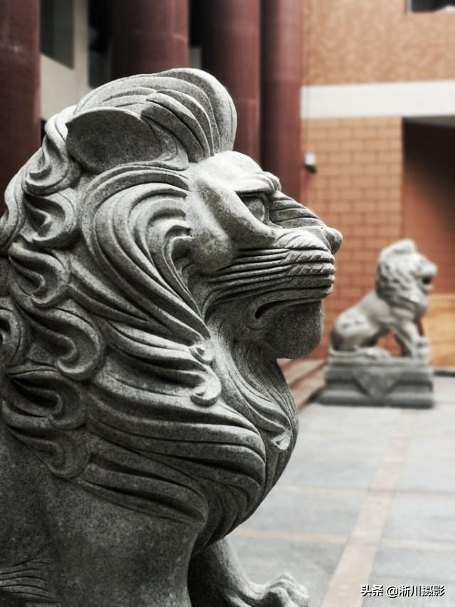 中国最美丽的校园照片,中国最美丽的校园中山大学南校区