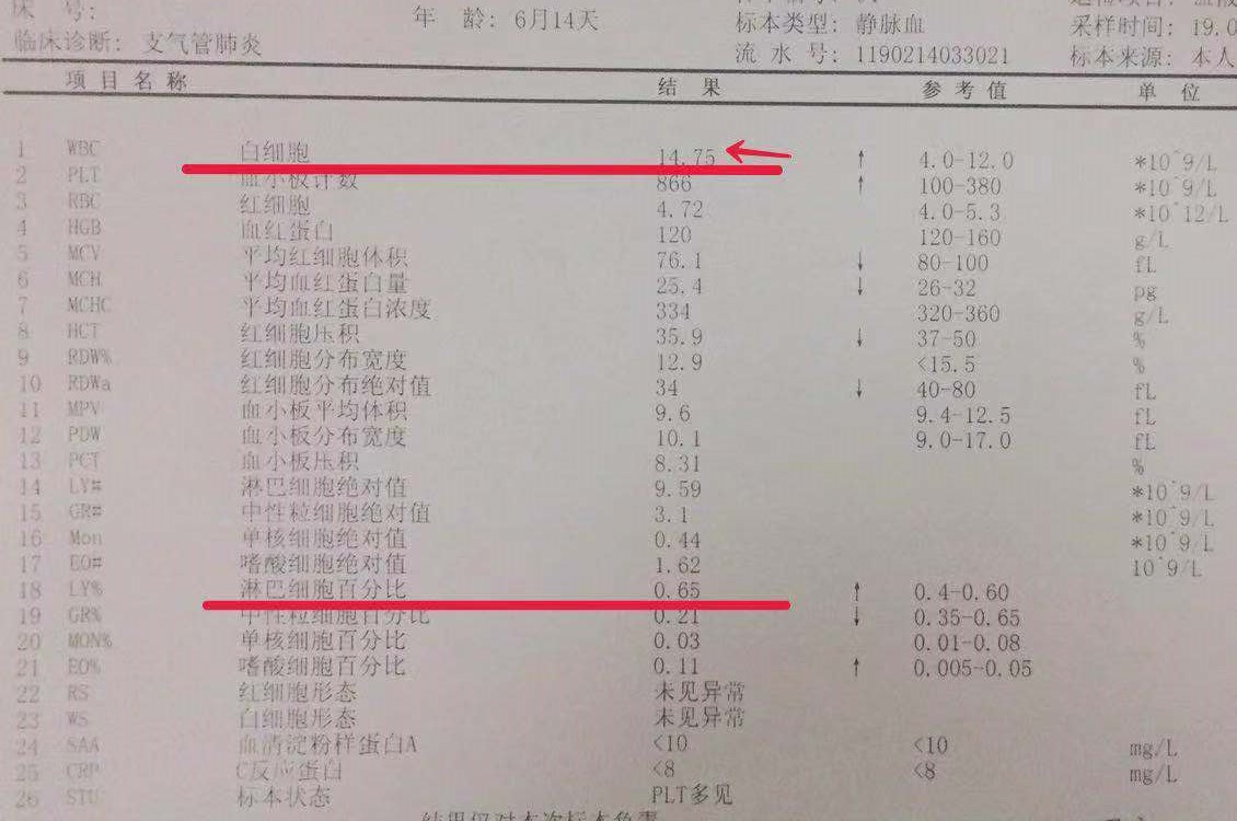 肺炎就该用头孢吗？多少人对抗生素仍然情有独钟