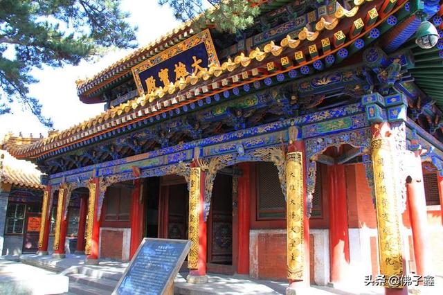 五台山适合打卡的寺庙,五台山和尚寺一日游
