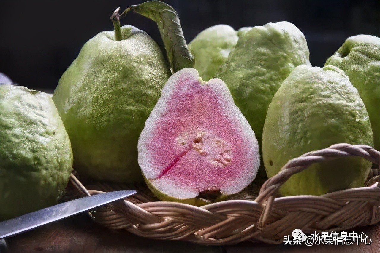 海南水果都有哪些品种图片及名称,海南水果上市时间表赶快收藏吧