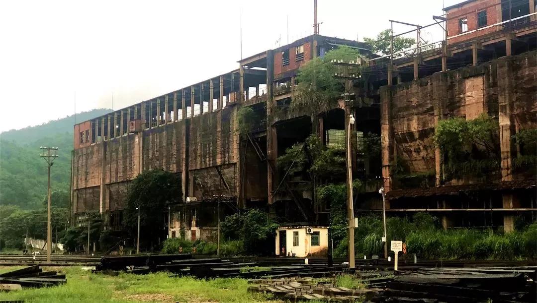 昌江原生态热带雨林森林秘境,海南万宁一个被大自然宠爱的地方
