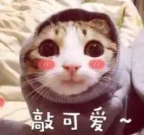 我竟然用一支口红的钱，承包了超市的半个货架？！