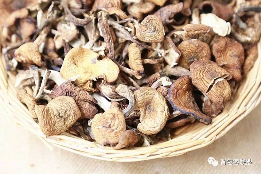 呼伦贝尔旅游攻略3天自由行,呼伦贝尔旅游攻略3天2晚