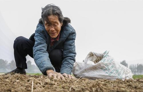 头发粗硬真的是劳碌命吗,头发粗硬命劳苦