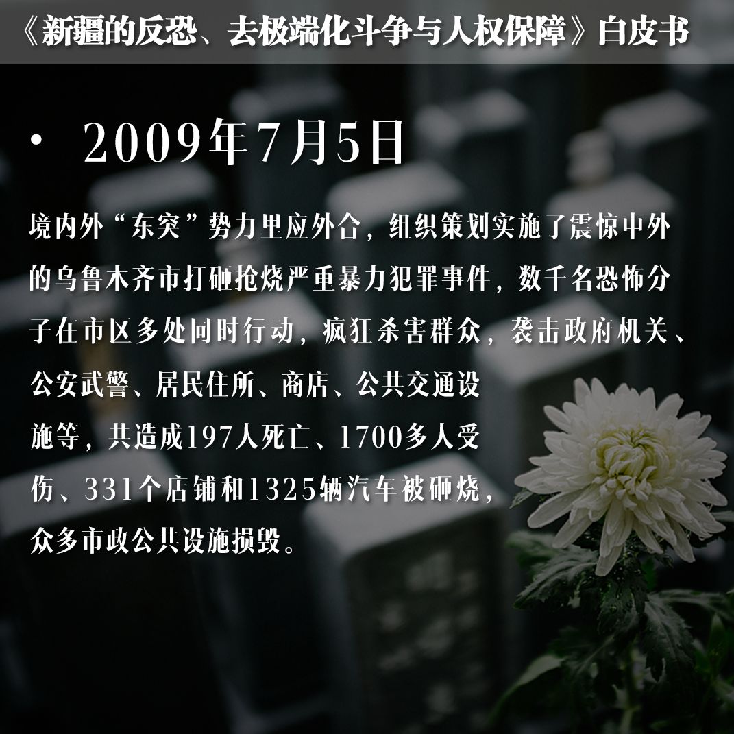 国新办将发表中国的核安全白皮书,涉疆白皮书深度解析
