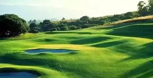 绿化对环境作用有哪些,园林绿化对城市生态环境的影响