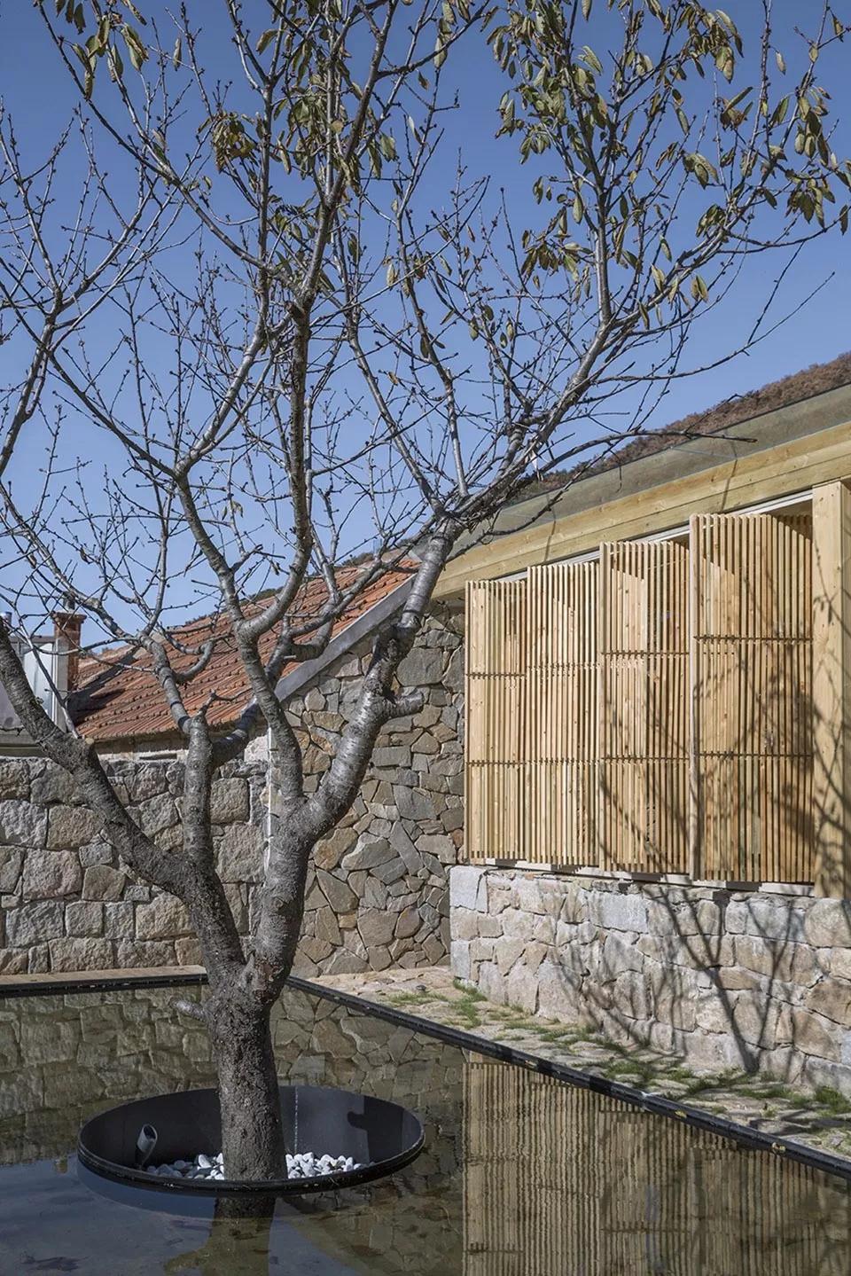 「案例」百年小村庄怎样打造成网红民宿村