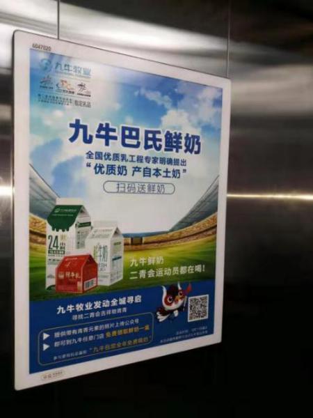 九牛牧业免费领牛奶,九牛牧业纯牛乳