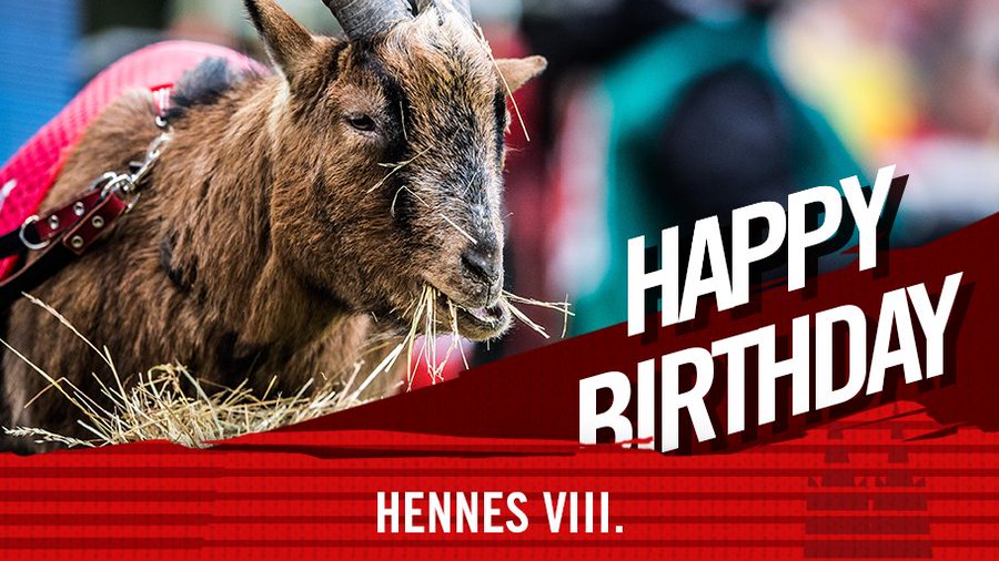 每个德甲俱乐部的那些有趣的事情