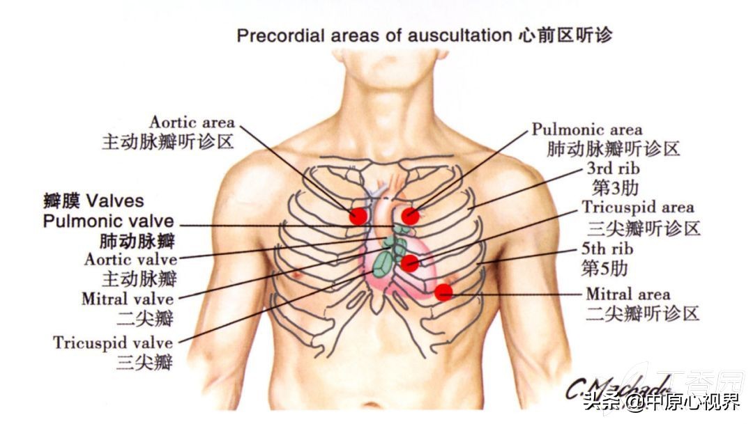 蹇冭剰瑙ｅ墫瀹為獙,蹇冭剰瑙ｅ墫鎵嬫湳