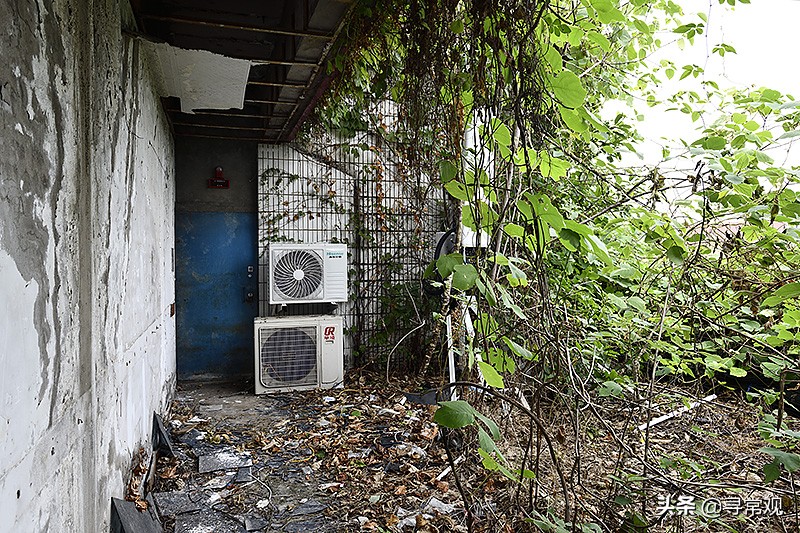 探秘重庆被人遗忘的废墟,被植物吞噬的小区