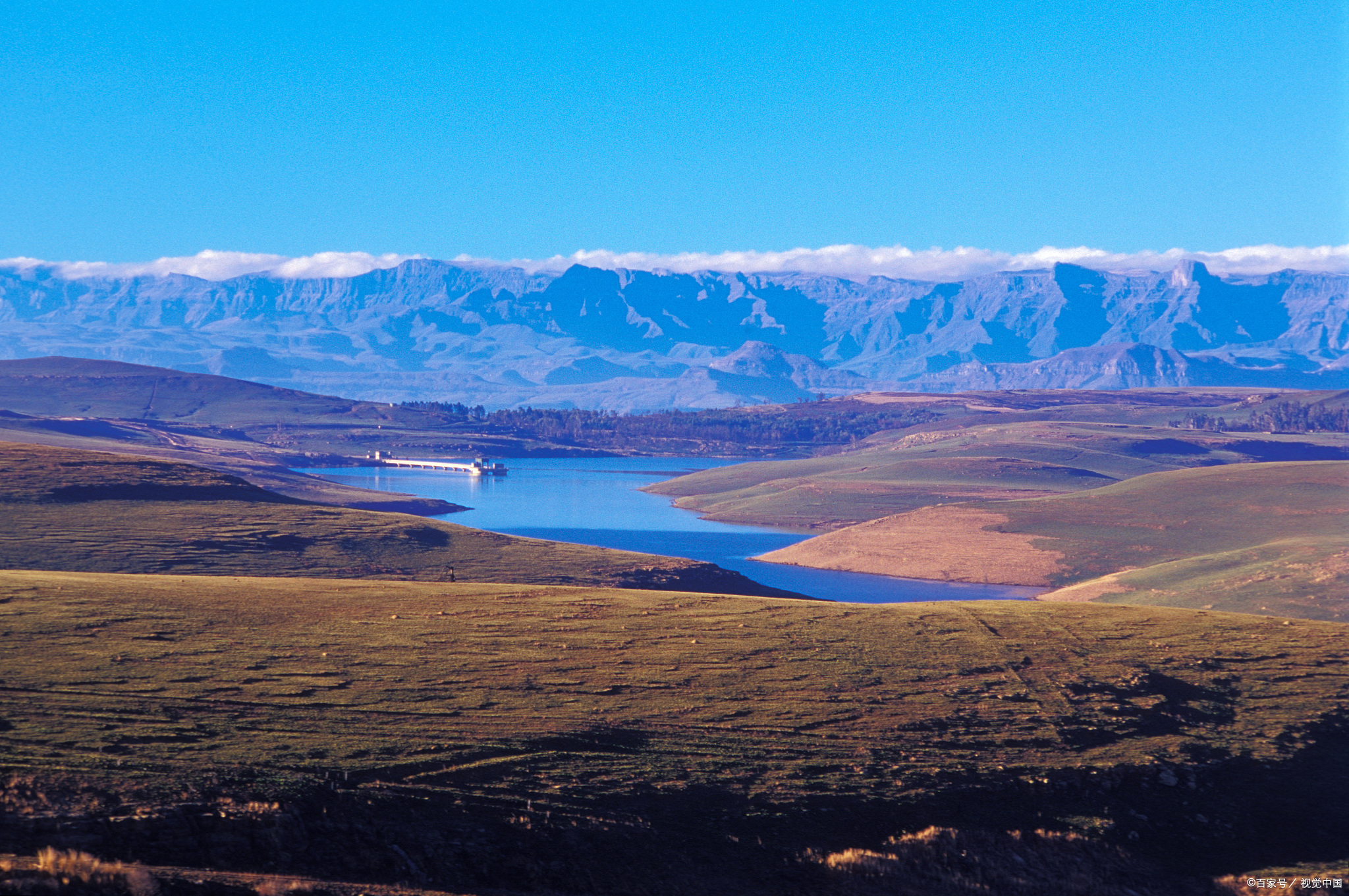 峰峰挖洞时手掌血肉模糊；蜘蛛毒性强，大家一起商讨对付它的对策