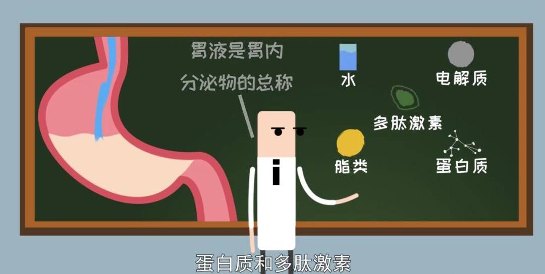 水蛭游到海里还能否活几天,水蛭切断了还能活吗还能长出来吗