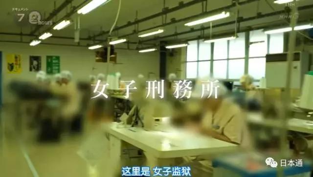 日本女子监狱解析,神秘的日本女子监狱