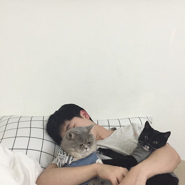 酷句子短句霸气,女人又飒又酷又霸气的句子说说