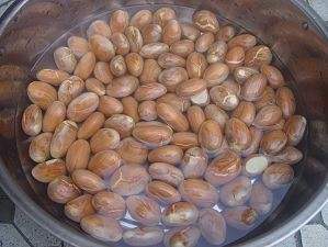 菠萝蜜吃了好吗,菠萝蜜吃了要吐出来吗