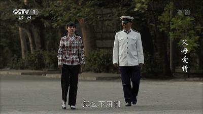 父母爱情为何拿奖,父母爱情总共获得几回奖