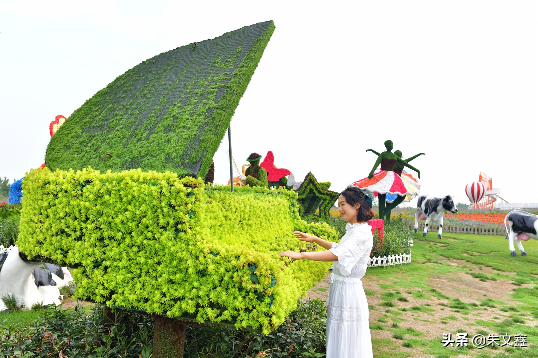 江苏大丰荷兰花海门票多少钱一张,大丰盐城荷兰花海