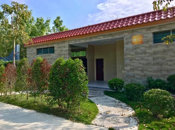 乡村振兴让农民在家门口赚到钱,碧桂园乡村振兴