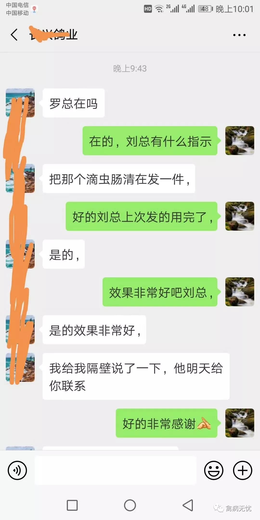 毛滴虫怎么治鸽子,毛滴虫鸽病的症状及治疗方法