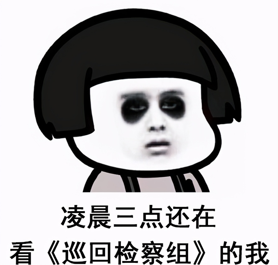 巡回检察组收视率屡创新高,巡回检察组演技最好的是谁