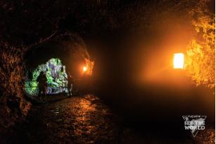 青春！需要一种最直接的方式，去亲近热情似火的HAWAII！