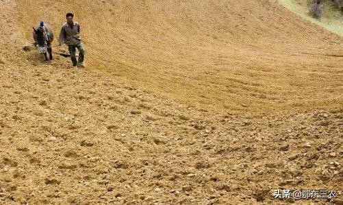 为何这么多人不愿意当农民？你怎么看？