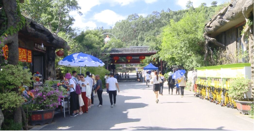 什么蚂蚁咬人后会晕,人被蚂蚁咬会发生什么