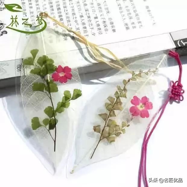 可爱又简单帅气的树叶手工,树叶创意手工高难度