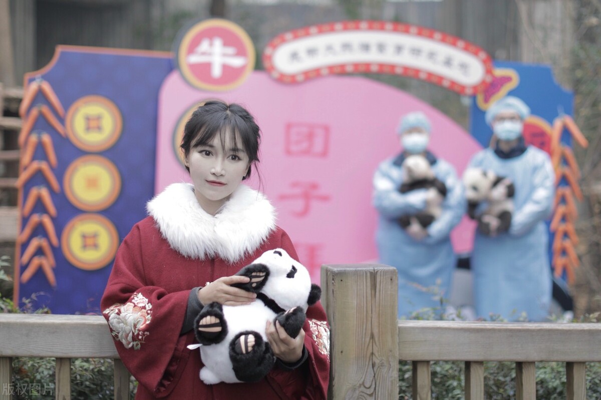 网红补税最多的是谁,大网红补税现状