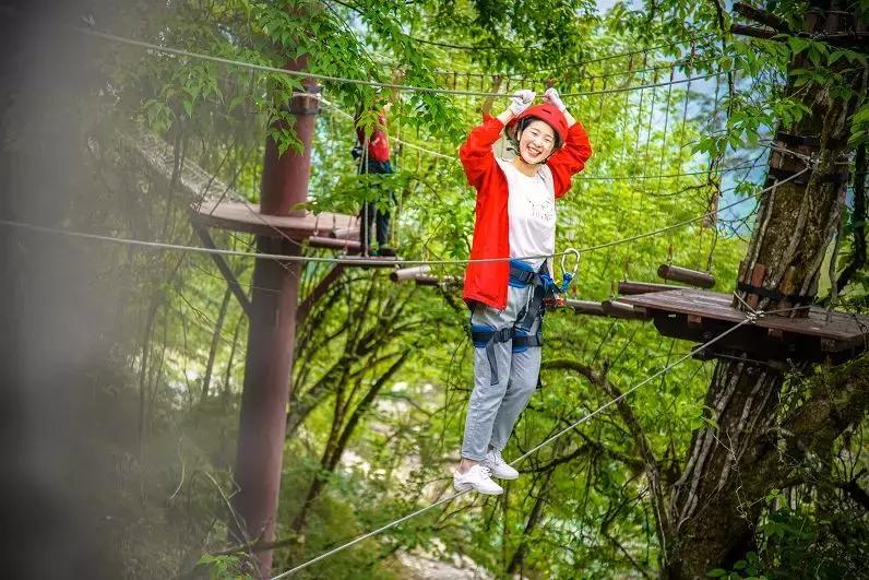 万亩杜鹃花开！邂逅野生水鹿，观云海住树屋，成都自驾3.5h就到！