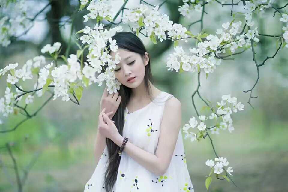 春上枝头，岁月别来无恙！【散文】