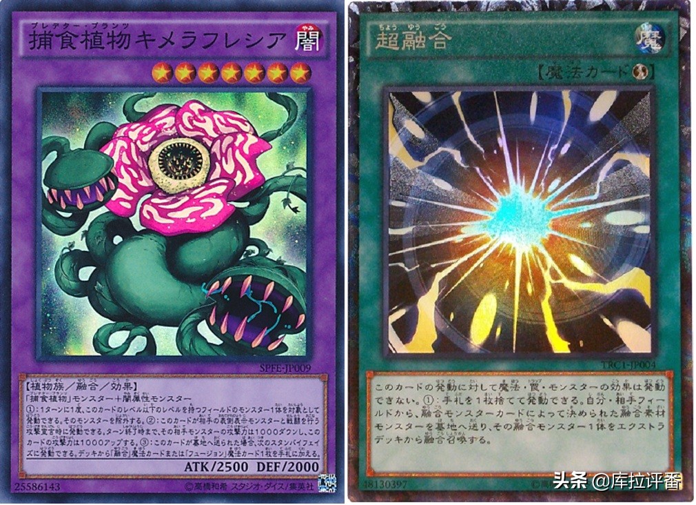 游戏王堕天使卡组历史,游戏王堕天使卡组小说