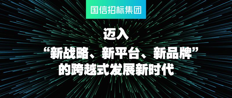 鍥戒俊鎷涙爣闆嗗洟,鍥戒俊鎷涙爣闆嗗洟閲囪喘椤圭洰
