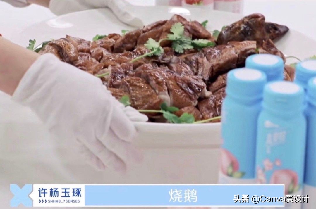 最新野生文案大全,看野生动物发的文案