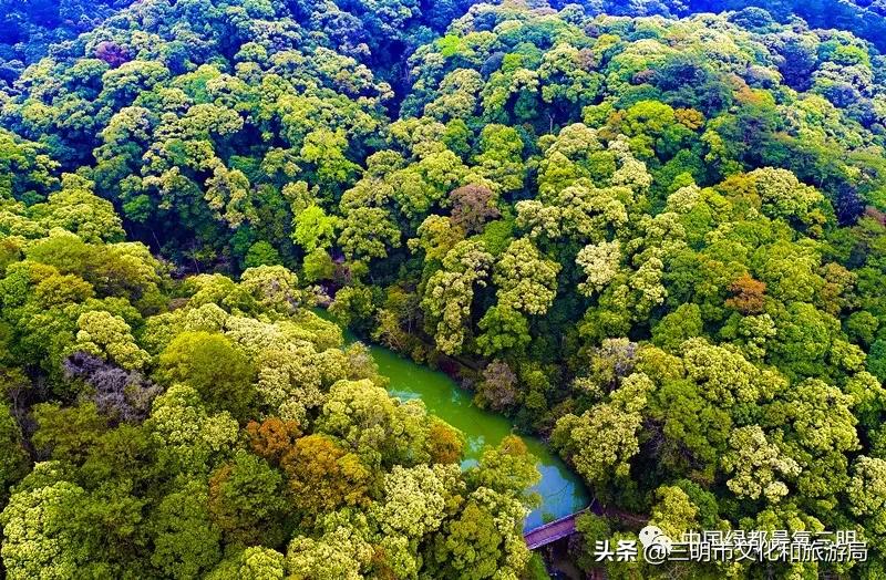 我在莆田挺好的,我在淮安挺好的