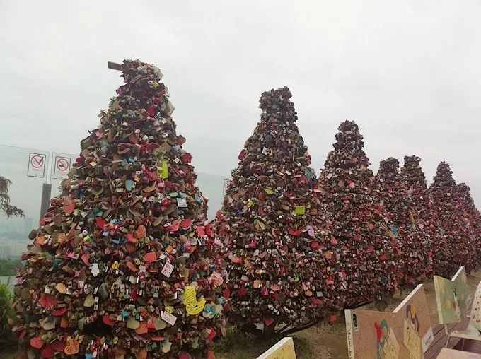 济州岛到首尔炸鸡啤酒和派对