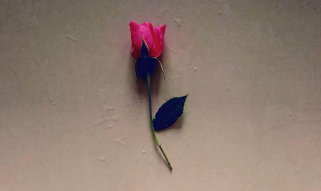 语文报杯最新特等奖作文全篇,语文报杯初中作文大赛