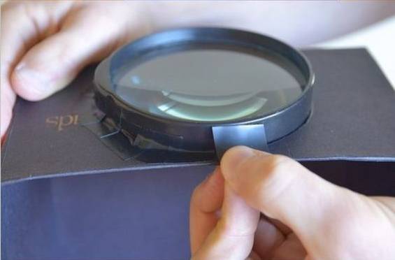 3-6岁儿童益智手工玩具鞋盒,幼儿园鞋盒里的动物世界手工作品