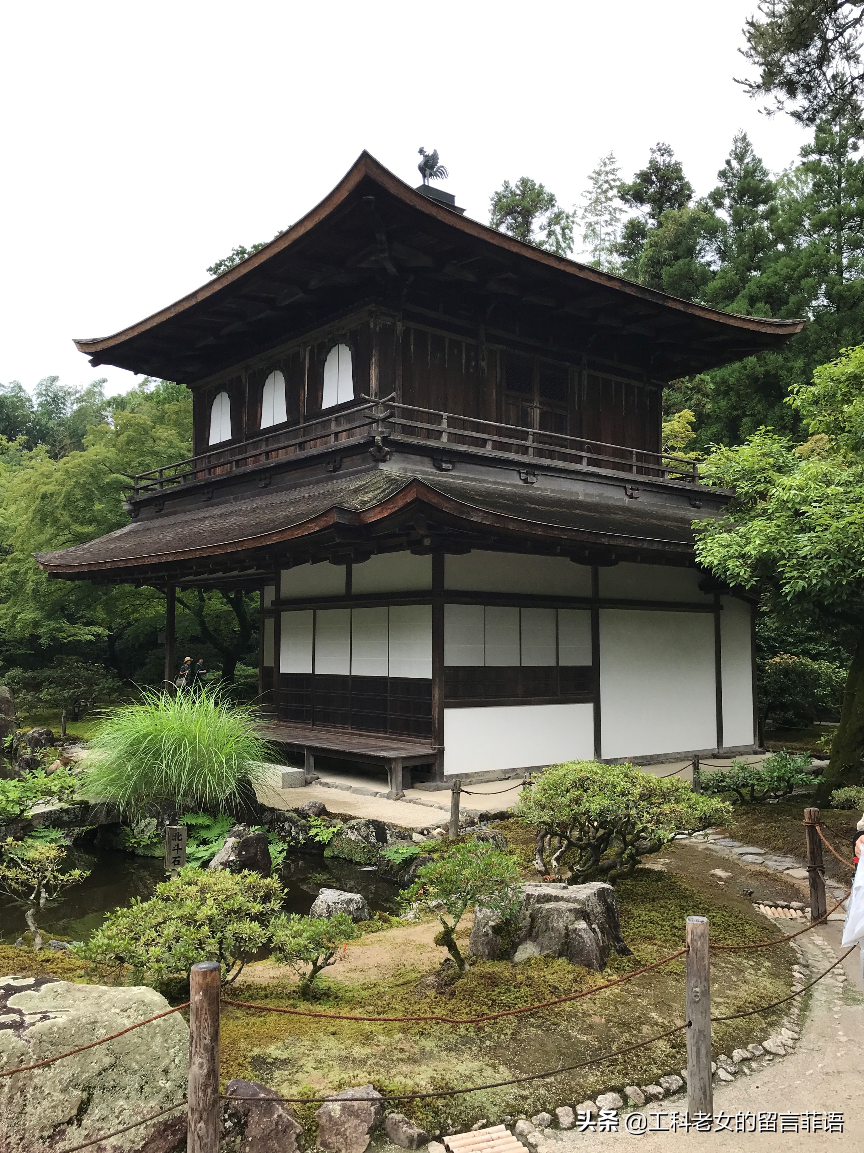 夏天去京都注意哪些事项,盛夏去哪玩