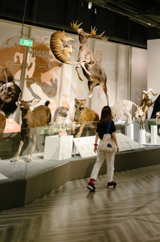 成都周边适合夜游的古镇,成都周边夜游网红地点推荐