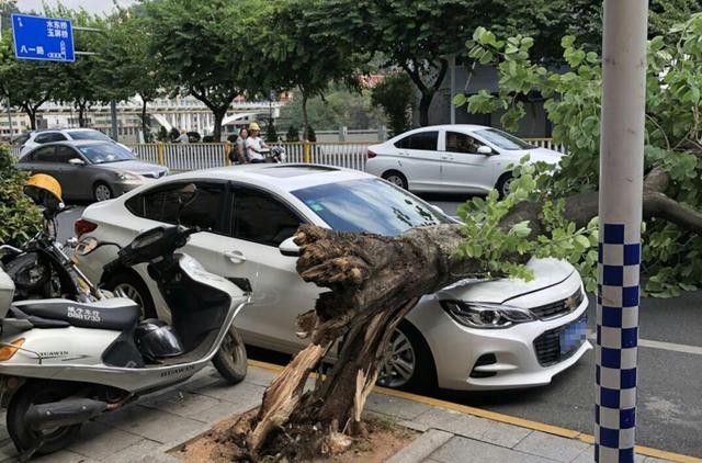 2022年摩托车交强险需要什么证件,车辆交强险需要什么证件