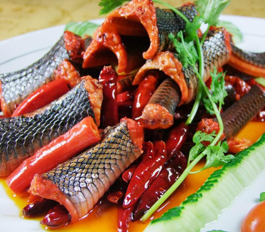 吃蛇到底对人有什么危害,吃蛇好不好