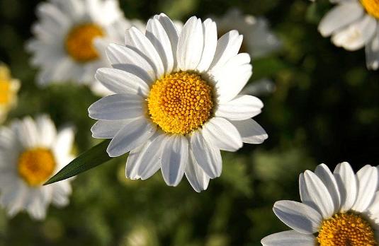 开封律师尚明病逝悼念文章让人泪目