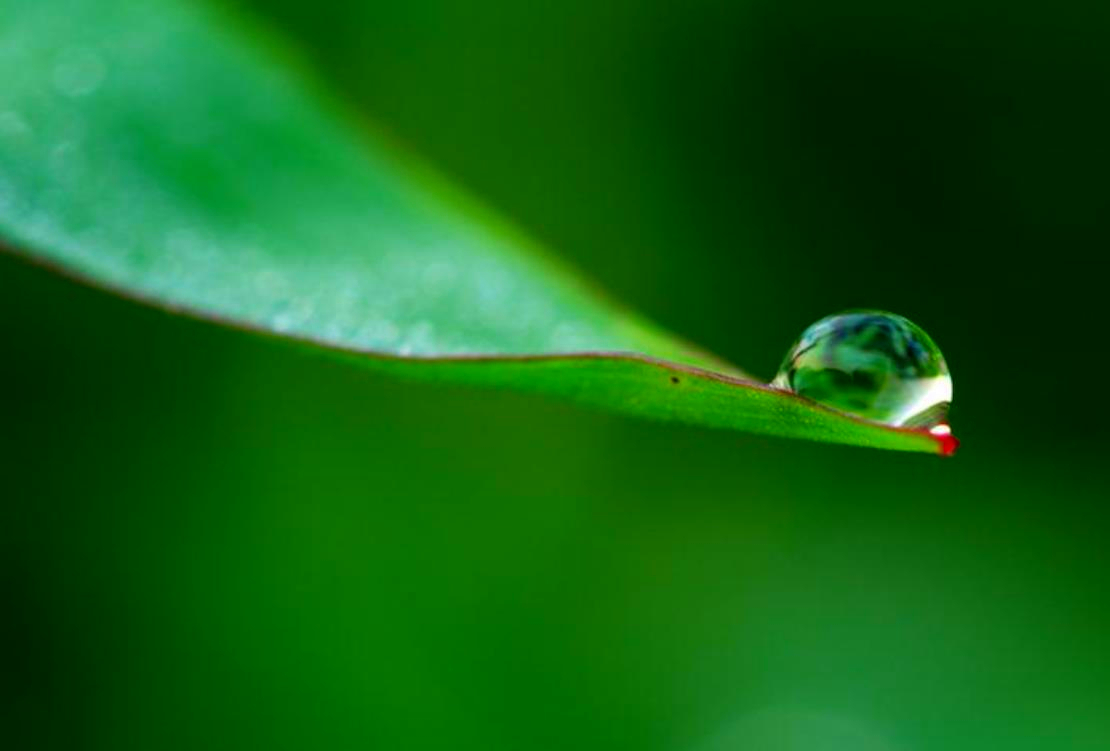 用情至深的人也容易极端,用情太深的人都容易心碎