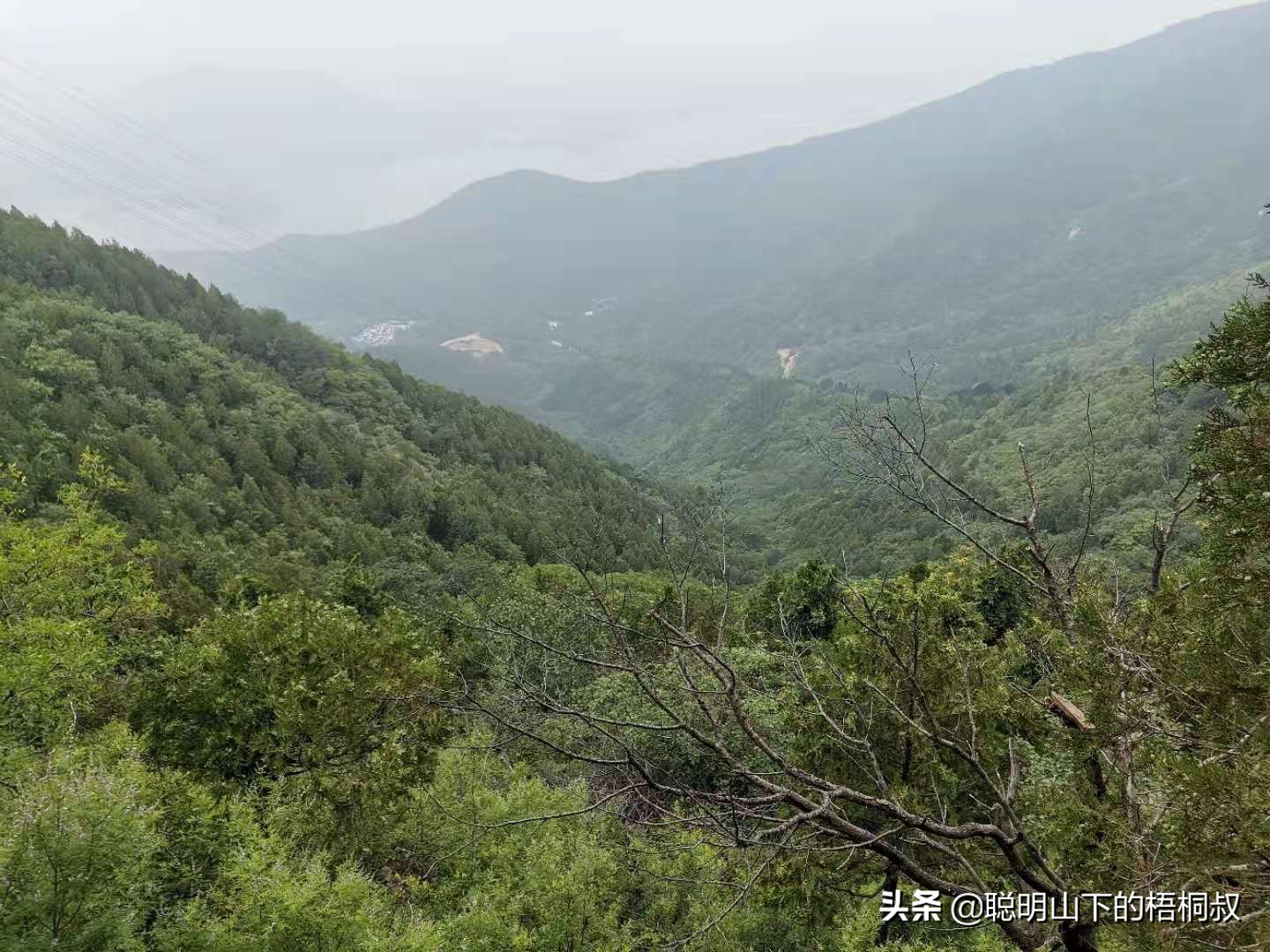 蟒山国家森林公园自由行攻略,北京蟒山森林公园游玩攻略