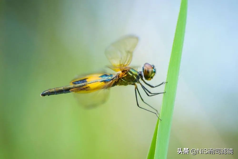 国家地理2023摄影大赛,国家地理摄影大赛冠军