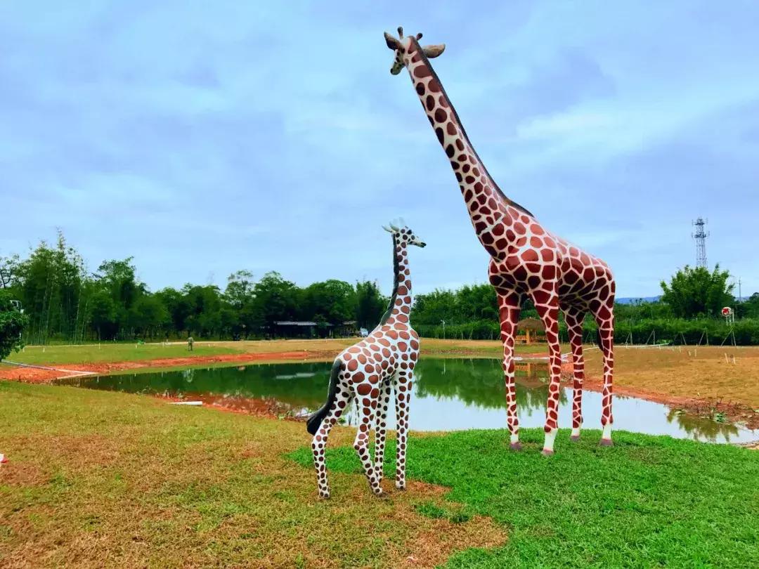 广州从化赛马会,广州从化站赛马会