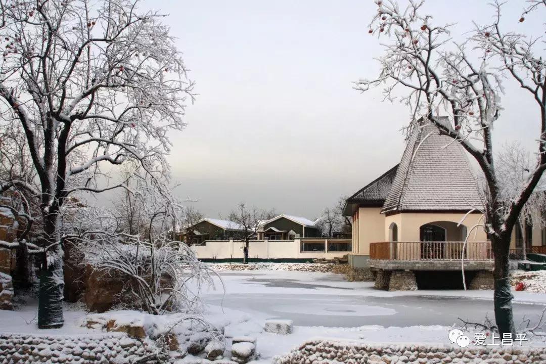 享受自家小院这悠闲时光,享受独处小院时光