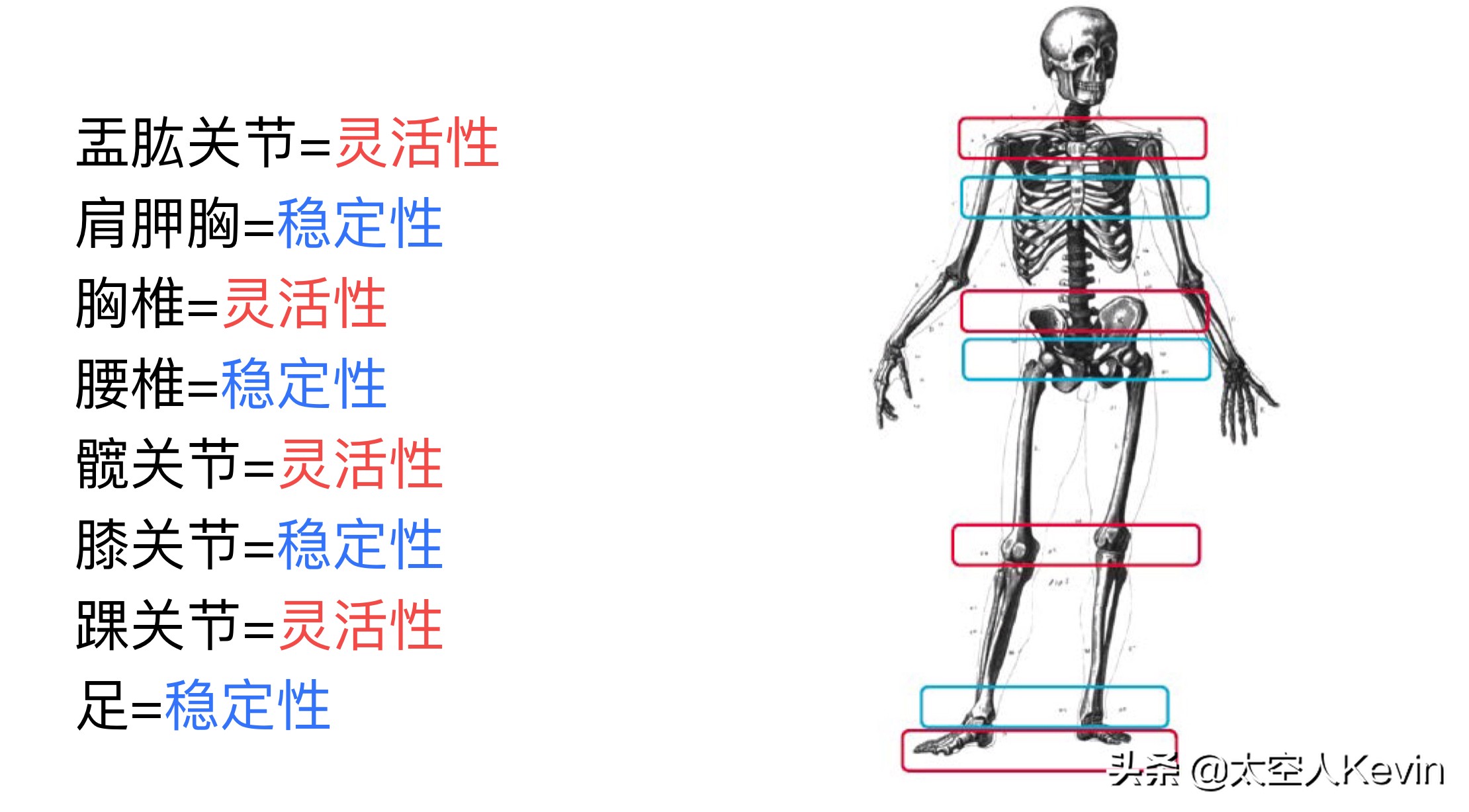 怎样可以让身体变得轻巧灵活,50岁怎么锻炼让身体更灵活